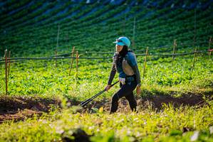 BIB: 
                            <button type="button" onclick="openModal(19160229)" class="btn btn-primary btn-sm float-right btn-popup" data-toggle="modal" data-target=".modal-high-quality">
                        <i class="fas fa-shopping-cart"></i> Add to Cart
                    </button>
                                            <button type="button" onclick="isThisMe(19160229, true)" class="btn btn-success btn-sm float-right btn-popup btn-isme hidden" data-toggle="tooltip" data-placement="bottom" title="นี่คือรูปของคุณใช่ไหม คลิกที่นี่เพื่อเอาเข้าอัลบั้ม">
                        <i class="fas fa-plus"></i> Add to album
                    </button>
                    <button type="button" onclick="isThisMe(19160229, false)" class="btn btn-warning btn-sm float-right btn-popup btn-isnotme hidden">
                        <i class="fas fa-ban"></i> Remove from album
                    </button>